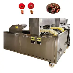 Commercial dates date prune seed removing remover machine dry date seed pit pitting removing machine price automatic