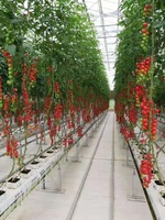 Mini serre de culture hydroponique pour airsoft, plantes hydroponiques de grande efficacité et automatique