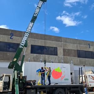 Sistema de Cultivo Hidropónico Vertical en Contenedores, Solución Hidropónica NFT en Contenedor de 40hq para Lechuga, Azafrán, Albahaca y Espinaca - Product Image 6