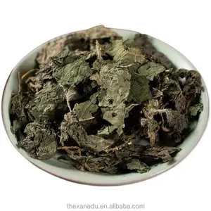 Wholesale Natural Stinging Dried Nettle Leaves Xanadu Chinese Herbs Bulk Wholesale Herbal Leaf Tea Qian Ma For Tincture Extract