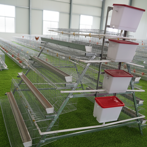 Jaulas para Cría de Pollos, Avicultura Automática, Tipo A/H, 3/4, Gallinero, Caja para Aves de Corral, Gallinero Plegable, Jaula para Gallinas - Product Image 3