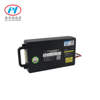 Batterie lithium-ion pour outils électriques, tondeuse à gazon, cueilleur de thé, 24V 12ah