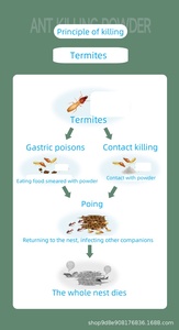 Gránulos de Cebo Insecticida con 0.05% de Fipronil, Mata <span class=keywords><strong>Cucarachas</strong></span> y Hormigas, Bolsita de 10g, Control de Plagas Domésticas y de Cocina, Eliminación Rápida - Product Image 2