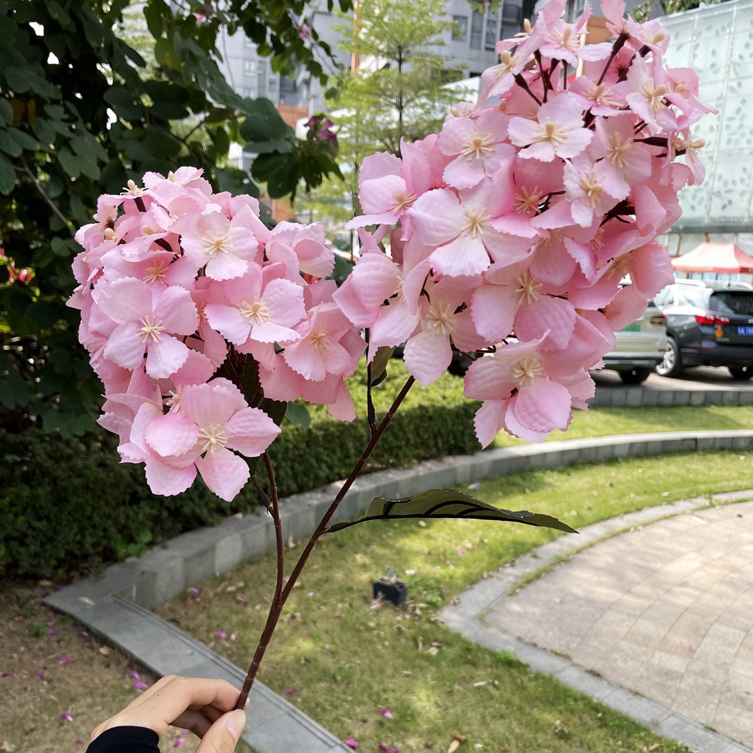 Ortensia pagoda a due teste rosa