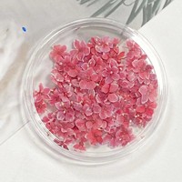Bunga Tanaman Alami Kecil Buatan Tangan untuk Proyek Seni Kuku dan Kerajinan DIY oleh Airy