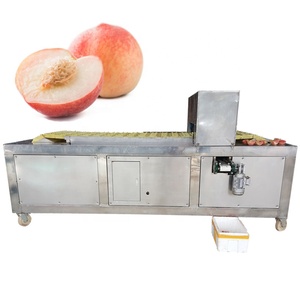 Machine à dénoyauter industrielle professionnelle pour pruneaux, cerises, pêches, abricots, poires / Machine à séparer les graines de pruneaux et de piments - Product Image 3