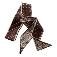 Écharpe longue en satin vintage printemps/été à motif cachemire, accessoire de col de chemise, ruban fluide à nouer à la taille, polyvalente