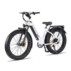 Magazzino noi solo cargo bici elettrica ebike e-cargo famiglia e bicicletta giri elettrici bulks per la città