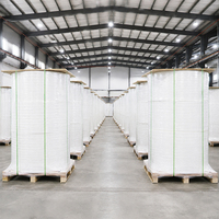 Rollo Jumbo de Papel Térmico Directo Libre de BPA para la Conversión de Etiquetas de Código de Barras de Alimentos para Venta Minorista