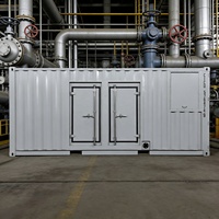 Groupe électrogène silencieux au gaz naturel en conteneur 800 kW 1000 kVA 1500 kW Baudouin Générateur au gaz 800 kW 1 MVA