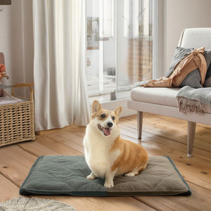Almohadilla Reversible para caja de perro mascota de alta calidad, alfombrilla suave para cama con autocalentamiento, tela de felpa con estampado de animales, funda de asiento de coche para uso en verano - Product Image 1