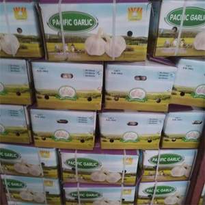 Ail <span class=keywords><strong>frais</strong></span> Ajo New Crop Ail blanc normal de bonne qualité Ail <span class=keywords><strong>acheter</strong></span> de l'ail 20kg sac en Chine - Product Image 6