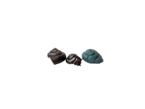 Figurita de Caracol de Harry para decoración, piedra de Caracol de resina de varios colores, utillaje de <span class=keywords><strong>película</strong></span> - Product Image 3