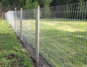 Cerca de alambre galvanizado con poco carbono para el campo de fútbol al aire libre