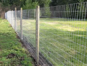 Cerca de arame galvanizado de baixo carbono para o campo de futebol ao ar livre