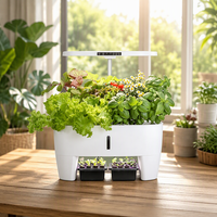 Planter Hidroponik Indoor Kecil Modern Harga Terjangkau Mudah Dioperasikan untuk Sayuran Buah Bunga Model Kustom dengan Lampu LED Penumbuh Tanaman