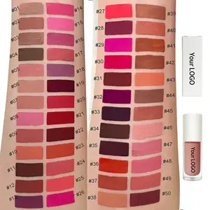 Maquillage en gros 50 couleurs finition mate rouge à lèvres longue durée végétalien marque privée rouge à lèvres liquide étanche