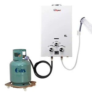 Calentador de agua de Gas de acero inoxidable para electrodomésticos, caldera instantánea Universal a buen precio
