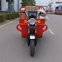 Tricycle utilitaire à essence avec caisse en acier, véhicule de livraison à 3 roues pour marché et entrepôt
