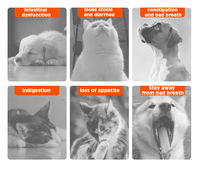 Supplément probiotique pour chats et chiens, comprimés de probiotiques et de prébiotiques à double action, comprimés probiotiques à haute efficacité