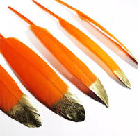 Plumes d'oie naturelles douces et pointues, teintes or, de 4 à 6 pouces, pour cosplay, carnaval, bracelet, châle, ailes, masque, mariage, fête, couture