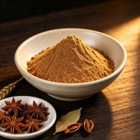 Poudre d'anis étoilé pur naturel de qualité alimentaire en vrac, déshydratée, Illicium Verum, pour assaisonnement