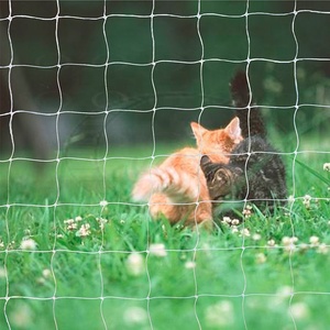 Lưới Mèo Nylon Trong Suốt Sợi Đơn 2*1.5M Lưới Nhựa Vô Hình Bảo Vệ Ban Công - Product Image 6