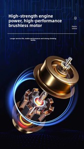 Brand New 48V 350W Rear <b>Hub</b> Motor Adult Leisure With High-Carbon Steel Frame and 55-65 Range TDT002Z Brand New - Product Image 6