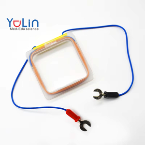 Yulin YL3-01030 Instrumentos <span class=keywords><strong>de</strong></span> Enseñanza <span class=keywords><strong>de</strong></span> Física para Escuelas Secundarias, Demostrador Físico Cuadrado del Regla <span class=keywords><strong>de</strong></span> la Mano Derecha <span class=keywords><strong>de</strong></span> la Corriente <span class=keywords><strong>de</strong></span> Farad - Product Image 1