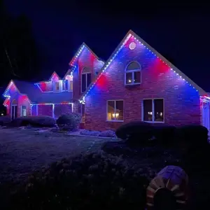 IP65 pixel led point lights outdoor waterproof rgbw permanent holiday christmas decoration RGBW Node pixels light