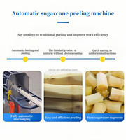 Machine à éplucher et à couper la canne à sucre électrique automatique commerciale, épluchage et coupe de la canne à sucre en une seule machine