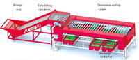 Nouvelle machine commerciale de nettoyage à sec des pommes de terre avec moteur, capacité de 7 T/h, 220V/380V pour les usines de transformation des fruits et légumes