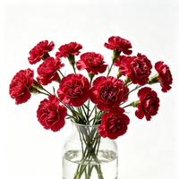 Fleurs artificielles de carnations, marguerites à tige unique, carnations en soie blanches, bordeaux, roses, fausses carnations pour la fête des mères, décoration de mariage