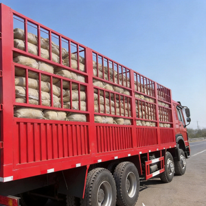 Camión Pesado Usado SINOTRUCK HOWO 6x4/8X4, 351-450HP, 41-50t, LHD/RHD, con Barandas, Euro <span class=keywords><strong>2</strong></span>, Motor Weichai, 5.3-6.2M, para Transporte de Ganado - Product Image 1