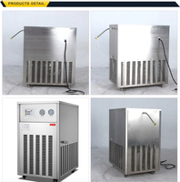 Pas cher basse température maison bière mini refroidisseur au glycol système avec pompes 100l 1kw 220v mini d'eau refroidi par air refroidisseur