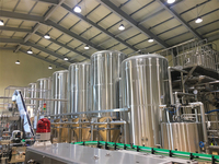 Équipement de brasserie de grande capacité 20HL-200HL, cuve de fermentation robuste pour le marché africain