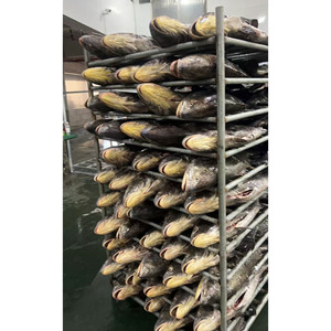 Pescado Croaker Marrón Congelado IQF, Eviscerado, Empaque Personalizado OEM, Suministro a Granel <span class=keywords><strong>de</strong></span> Croaker Amarillo - Product Image 6