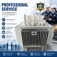 350 KVA 400 KVA Elektrik Güç Trafosu 25 KVA 50 KVA 100 KVA 300 KVA 3 Faz Yağlı Elektrik Trafosu 250 KVA