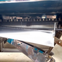 Machine à torréfier les graines de sésame électrique ou à gaz, tambour en acier inoxydable, torréfaction uniforme pour la production de tahini ou de snacks