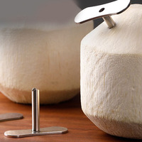 Keuken Gadget Rvs Kokosnoot Gat Opener Fruit & Groente Gereedschap Met Gat Makkelijk Te Gebruiken Stro Opener