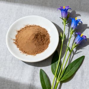 Chiết xuất rễ cây <span class=keywords><strong>Gentian</strong></span> giá tốt nhất Zhencui, bột chiết xuất <span class=keywords><strong>Gentian</strong></span> 10:1 - Product Image 2