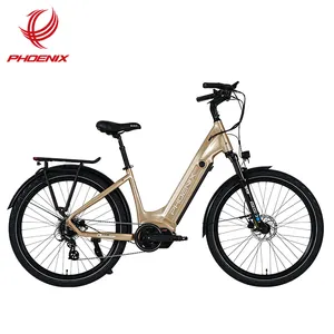 Phoenix Nuevo diseño Freno de disco hidráulico 20Ah E Bike Motor central medio Bicicleta eléctrica de montaña