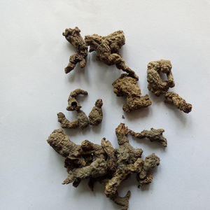 Tian Kui Zi, racine de musc noir séchée, semblable à la racine de Semiaquilegia, pour la médecine traditionnelle chinoise - Product Image 3