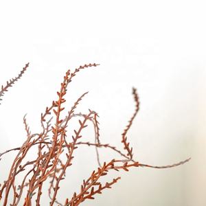 Factory Sale Dekorative dreizackige Blatt bündel Verschiedene Muster Brown Pampas Grass Künstliche Blumen Custom ized Günstige Bulk - Product Image 1