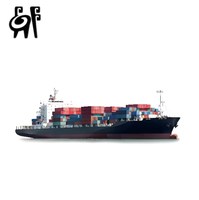 Transporteur maritime favorable de la Chine vers l'Irak DDP pour les conteneurs et la livraison de FCL/LCL