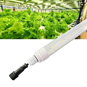 Tira <span class=keywords><strong>led</strong></span> de alta potencia para horticultura, 730nm, luces de cultivo de color rojo lejano - Product Image 4