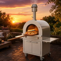 Four à pizza au gaz extérieur en acier inoxydable robuste, four à pizza mobile professionnel, four à pizza commercial pour restaurant