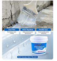 Enduit liquide transparent et imperméable en acrylique pur avec pinceau pour la réparation invisible des fuites, idéal pour les fissures des carreaux de salle de bain, des toits et des murs.
