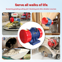 Moteurs électriques à vibration de béton triphasés 380V 6 pôles en cuivre pur YZS-30-6