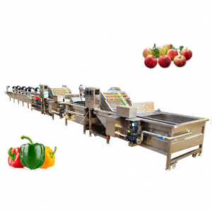 Machine de lavage et de nettoyage automatique électrique à pulvérisation pour carottes, manioc, pommes, maïs, tomates, agrumes et fruits rouges - Product Image 1